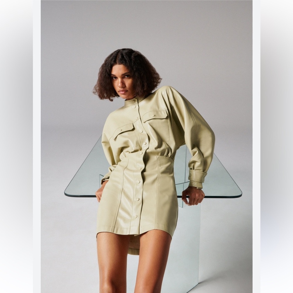 Zara  Women's Faux Leather Utility Dress - Picture 4 of 8